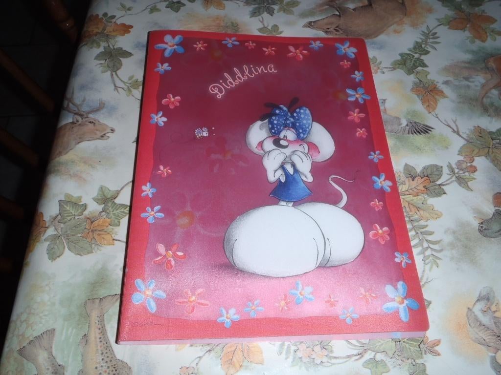 Diddlina documentbeschermer met 20 zakken, Verzamelen, Diddl, Ophalen of Verzenden, Diddlina, Zo goed als nieuw, Overige typen