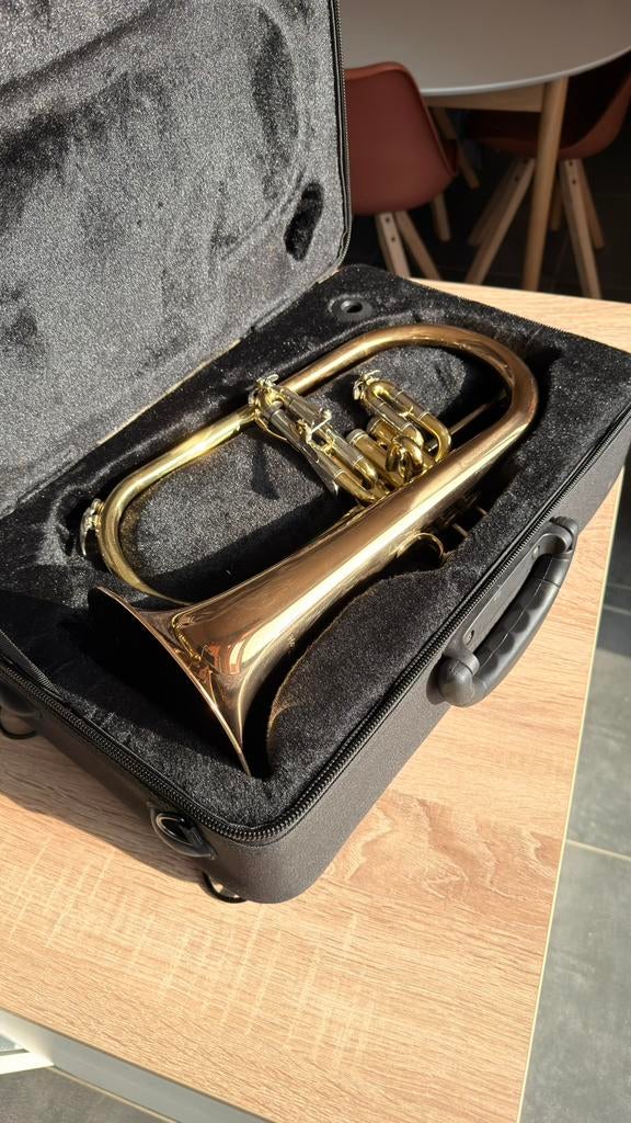 Hofmeister HFH-154RL bugel – inclusief koffer, Muziek en Instrumenten, Blaasinstrumenten | Trompetten, Ophalen, Zo goed als nieuw