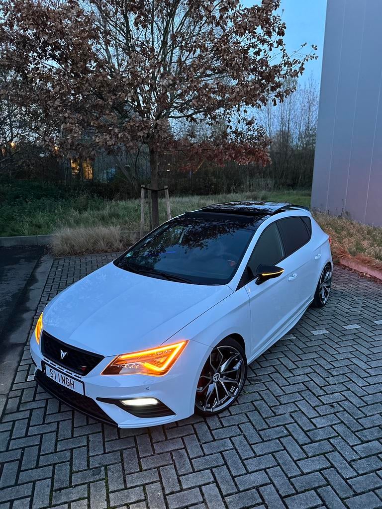 Seat Leon Cupra - 2.0 TSI, Autos, Seat, Cuir et Alcantara, Achat, Euro 6, Leon