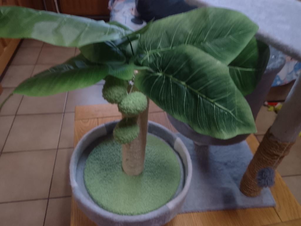 Arbre à chat et griffoire, Animaux & Accessoires, Enlèvement, Comme neuf