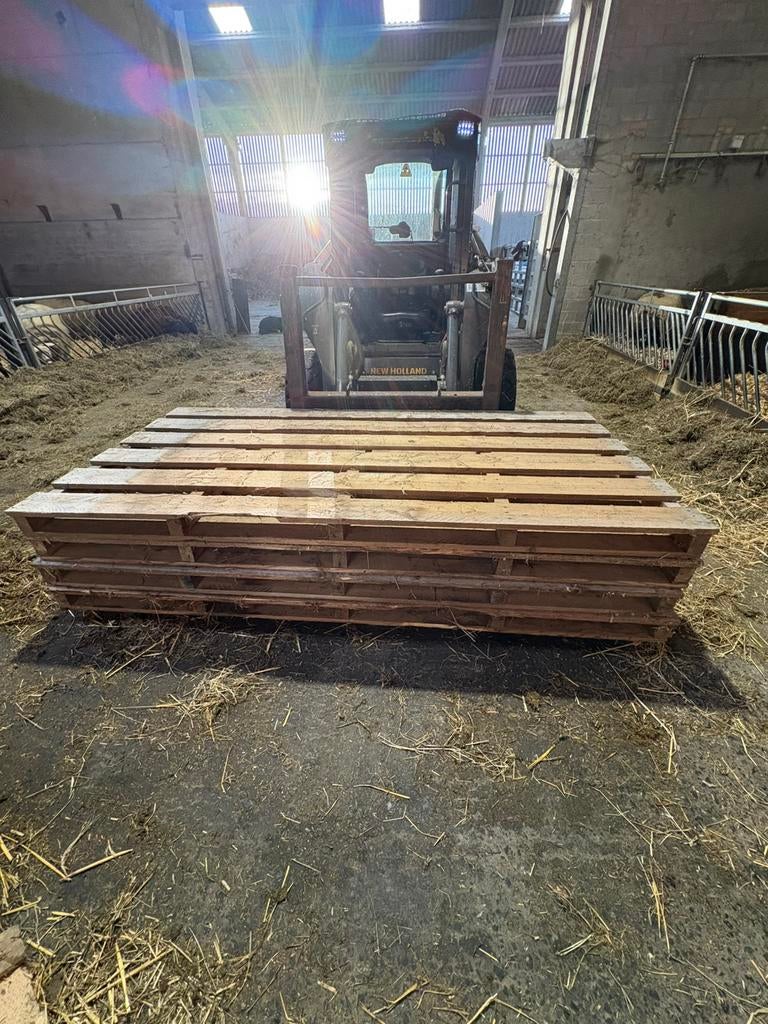 Grote Palletten /brandhout, Doe-het-zelf en Bouw, Hout en Planken, Ophalen, Zo goed als nieuw, 250 tot 300 cm, Pallet
