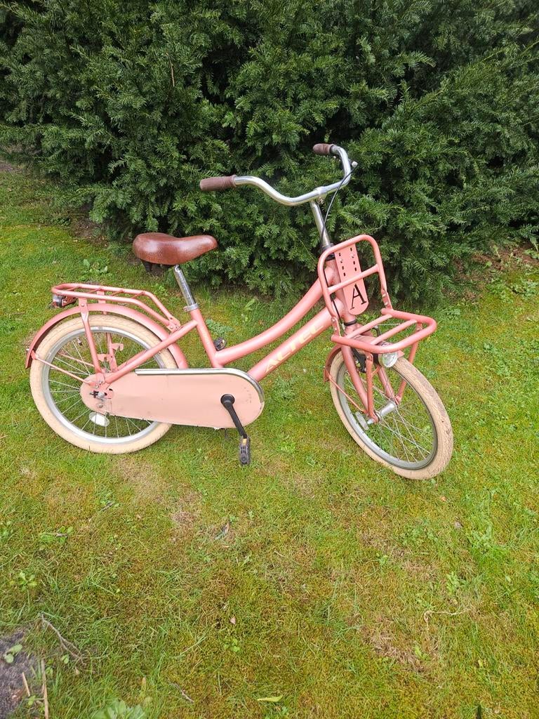 Fiets 20 inch, Ophalen, 20 inch