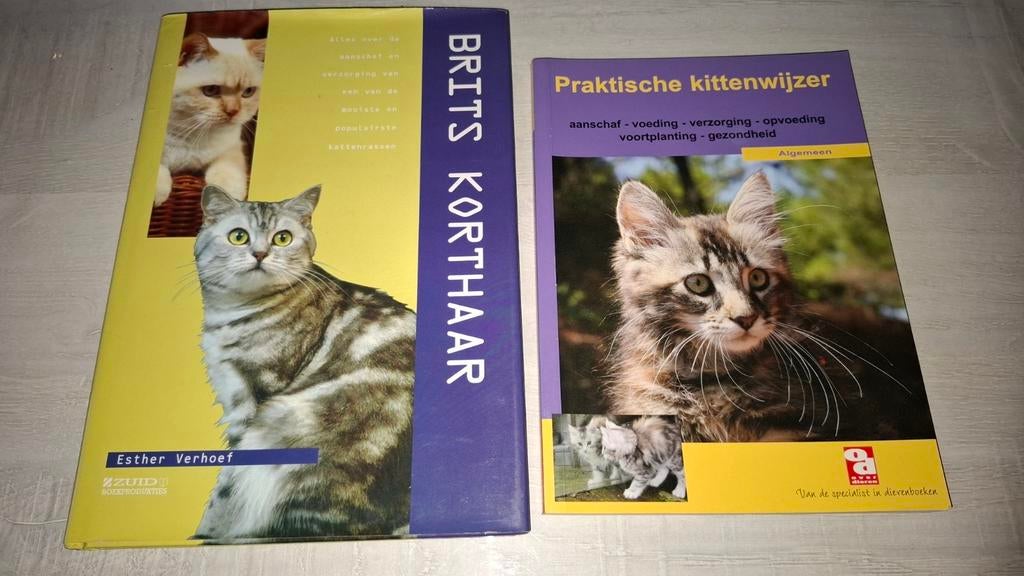 Livres en parfait état, Enlèvement, Comme neuf