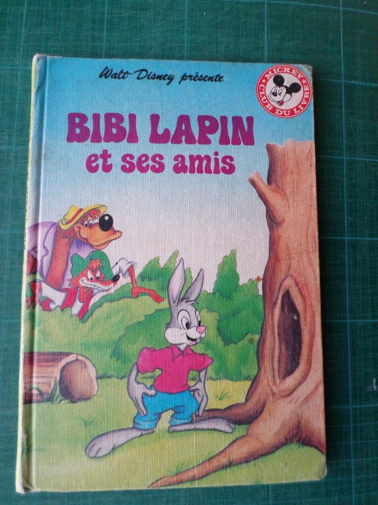 Bibi lapin et ses amis (Walt Disney) – 1979 – 40 pages, Enlèvement ou Envoi, Fiction général, Utilisé, Disney