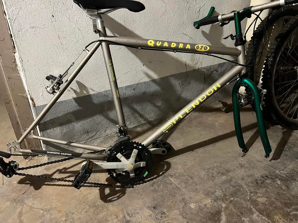 Vélo adolescents, Enlèvement