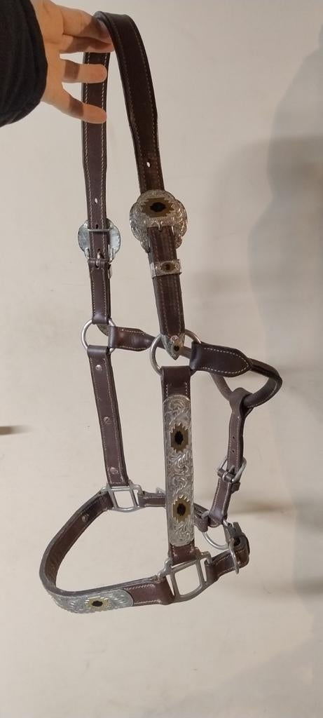 Showhalster Full, Dieren en Toebehoren, Paarden en Pony's | Hoofdstellen en Tuigage, Ophalen of Verzenden, Western