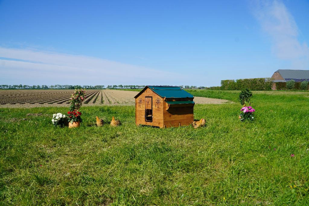 Trespa Kippenhok Cucciolotta | Farm Evolution 3XL, Enlèvement ou Envoi, Neuf, Poulailler