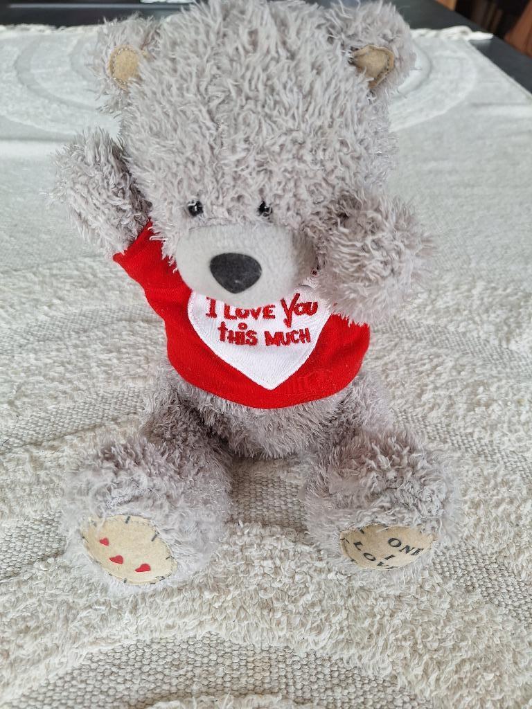 Me to you beer i love you this mutch, Kinderen en Baby's, Ophalen of Verzenden, Zo goed als nieuw, Beer