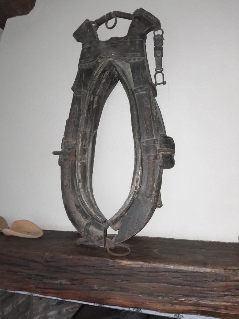 harnais pour chevaux, Enlèvement