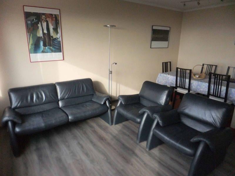 Sièges design en cuir de qualité, Enlèvement, Utilisé, Cuir, Modern