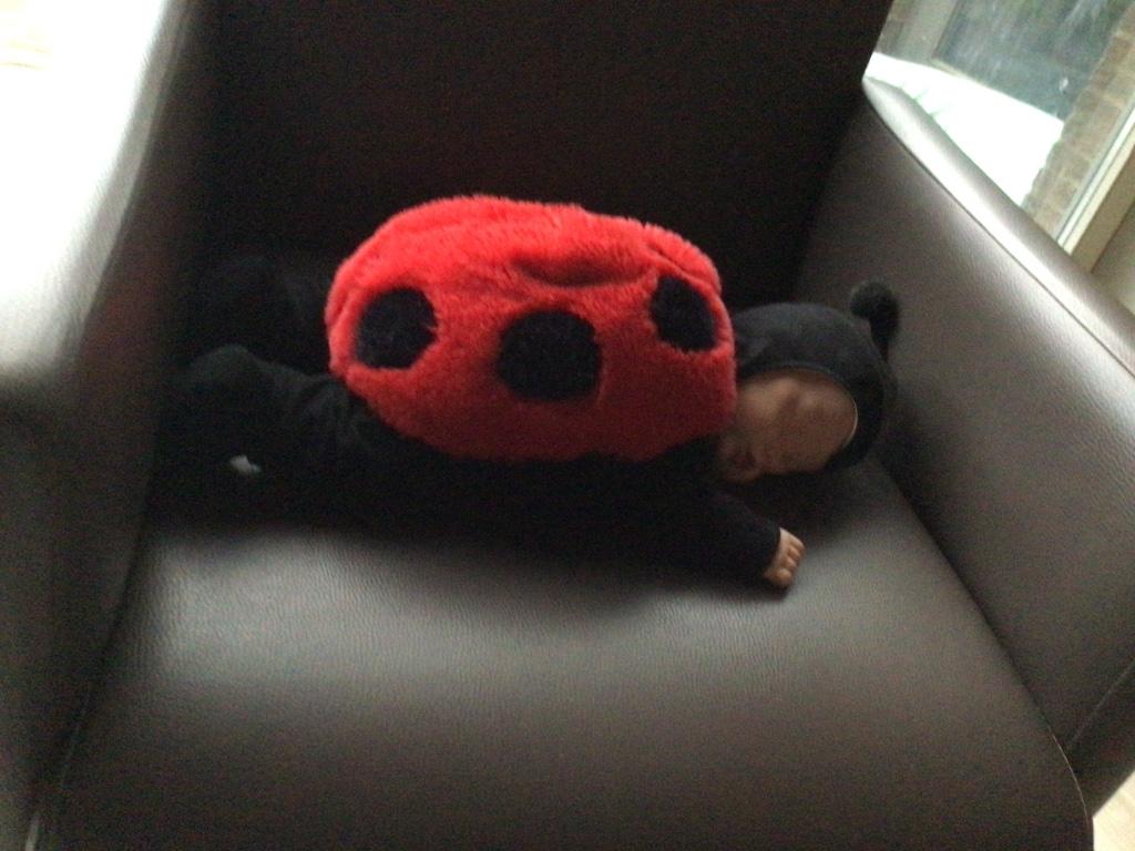 Anne Geddes pop, Verzamelen, Ophalen of Verzenden, Zo goed als nieuw, Pop