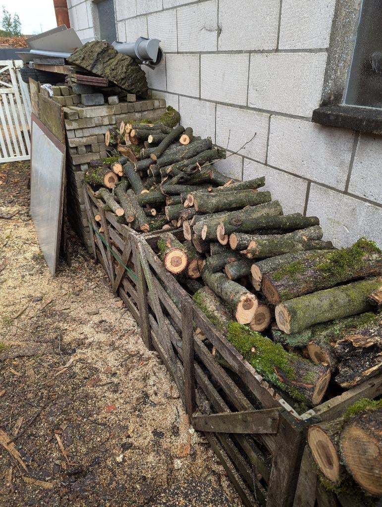 Brandhout klein eik en mast, Moins de 3 m³, Enlèvement, Chêne, Branches