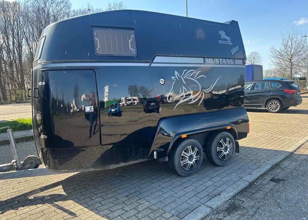 La Mustang Elite en excellent état en 2008, Enlèvement, Comme neuf, Polyester, Remorque 2 chevaux