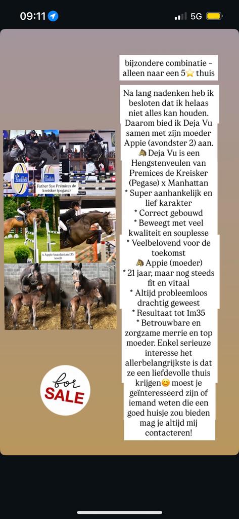 Interessante fokmerrie met hengsten veulen, Dieren en Toebehoren, Paarden en Pony's | Dekhengsten en Fokmerries, Merrie
