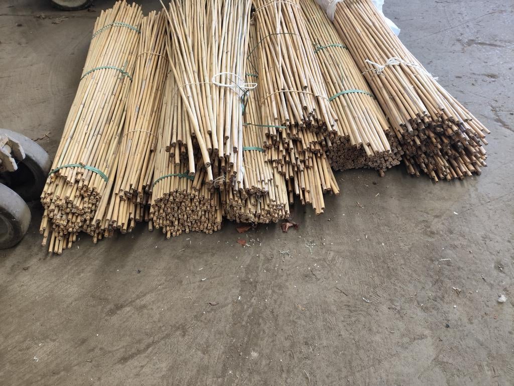 Bamboo, Tuin en Terras, Kweekspullen, Ophalen