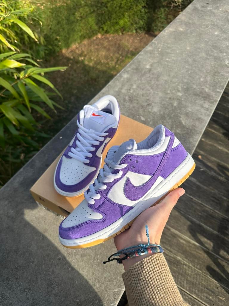 Dunk sb purple, Enlèvement, Neuf, Blanc, Baskets