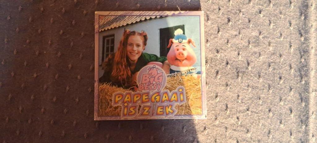 Big & betsy papegaai is ziek, Ophalen of Verzenden