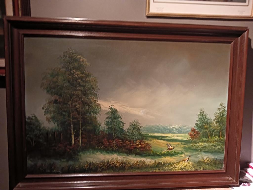 Fazanten in het wild, Antiek en Kunst, Ophalen