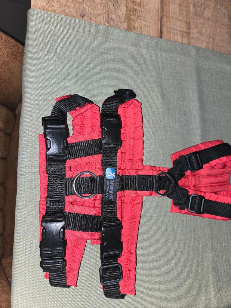 Anny x hondentuigje, Dieren en Toebehoren, Ophalen of Verzenden, Nieuw