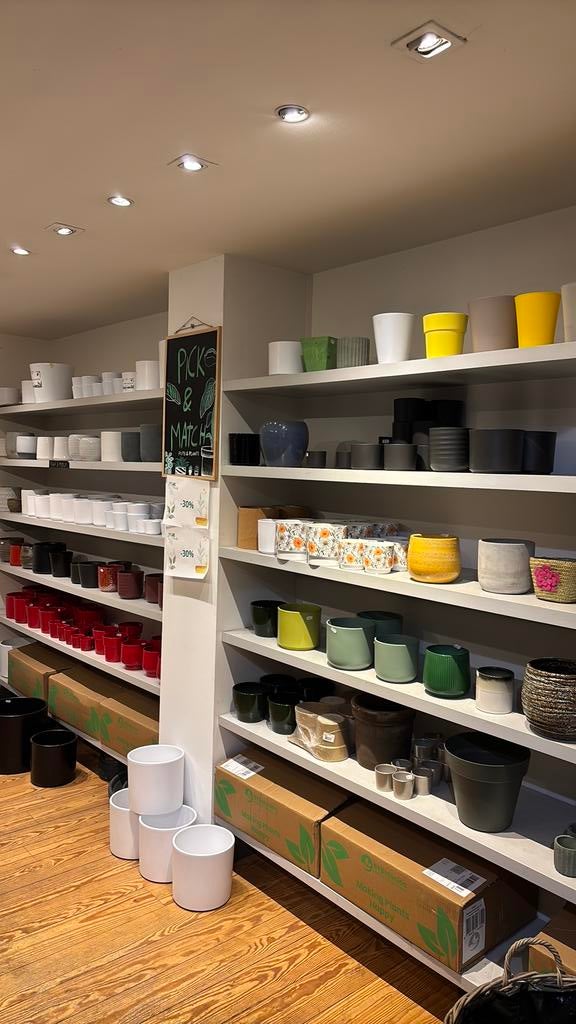 Honderdtal sierpotten voor planten, Enlèvement