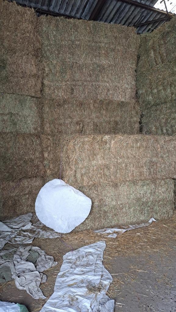 Hooi grote balen, 540kg, Enlèvement