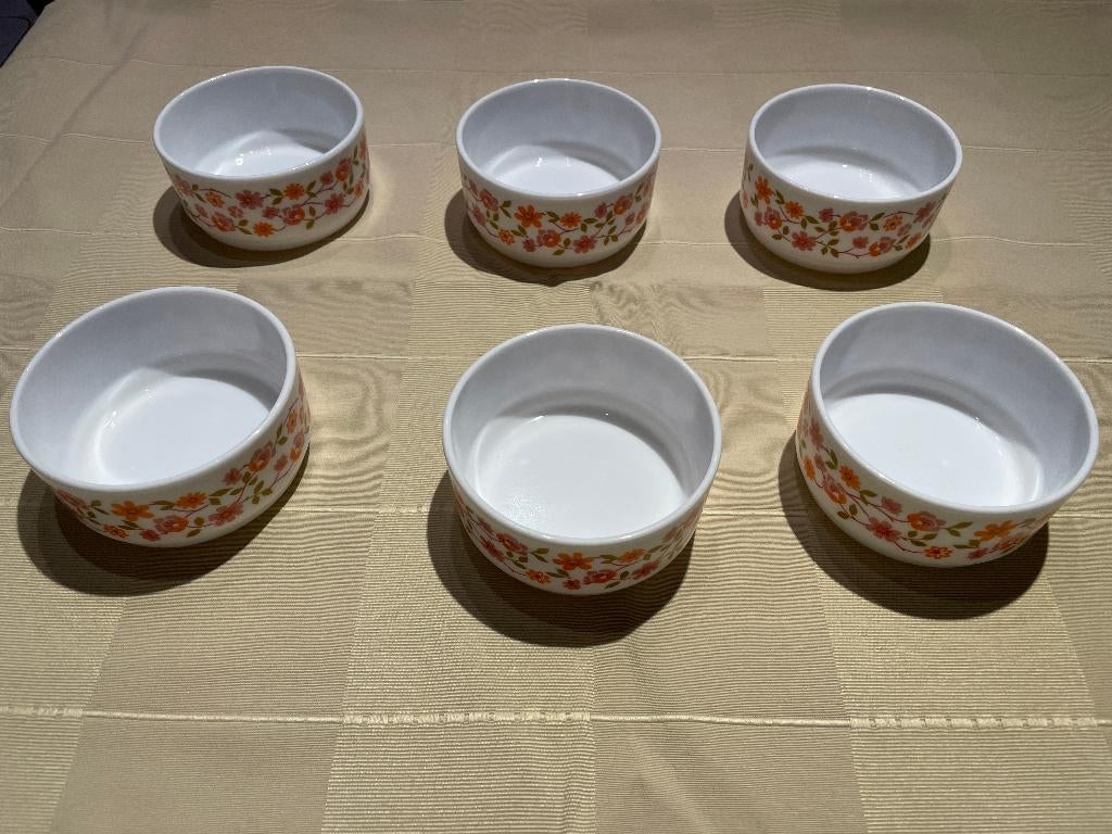 6 identieke kommen Arcopal VINTAGE - RETRO, Enlèvement ou Envoi