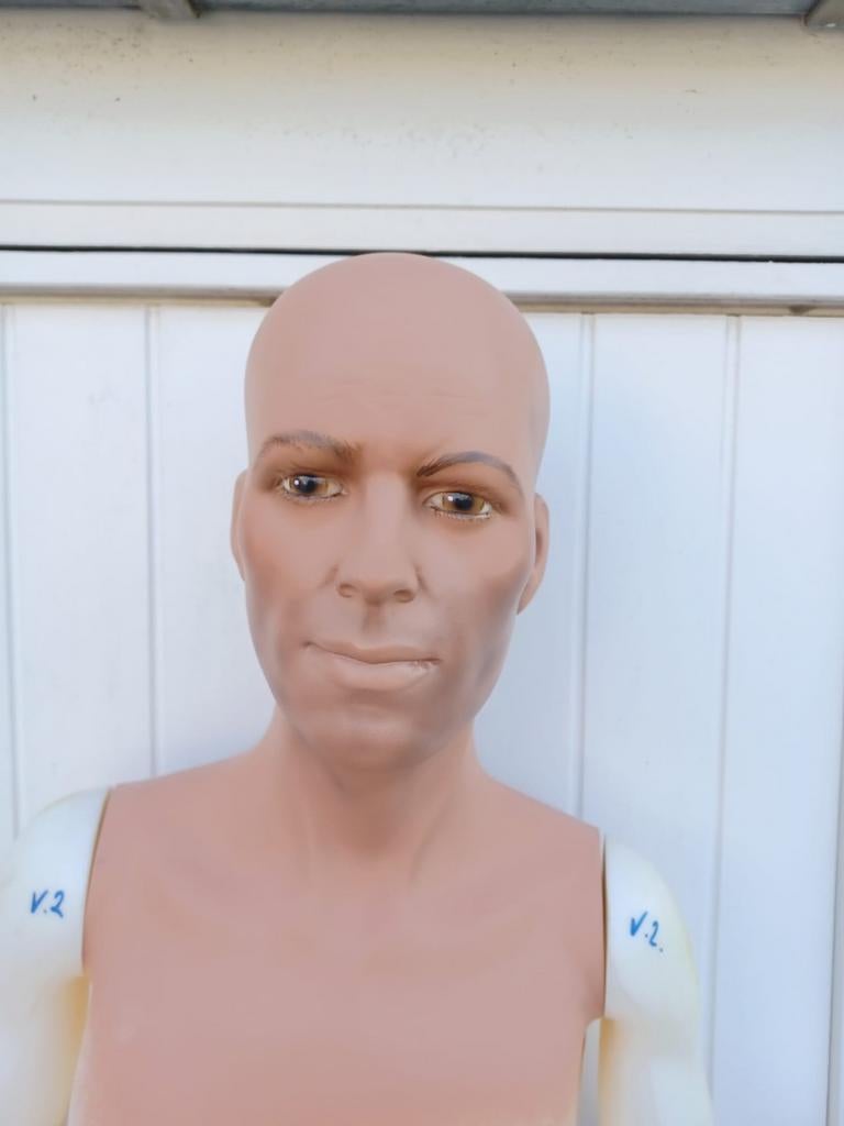 Mannequin pop Pintus, Collections, Enlèvement