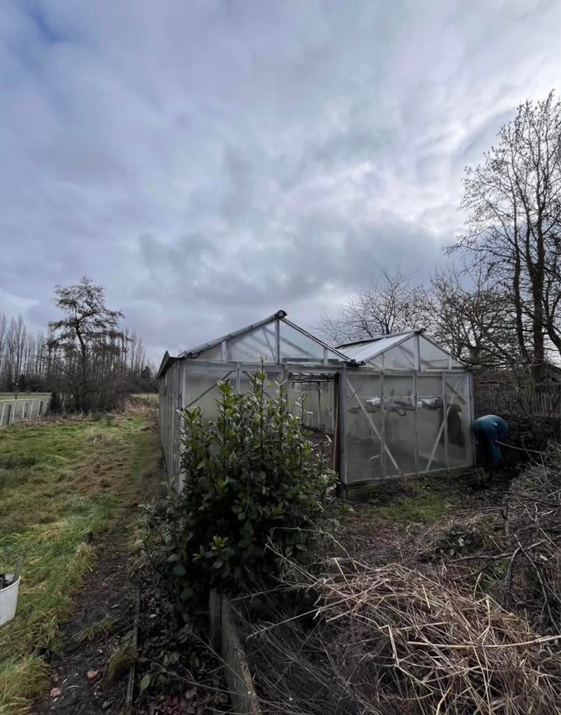 Serre, Tuin en Terras, Kassen, Ophalen, Polycarbonaat, Gebruikt, Kweekkas
