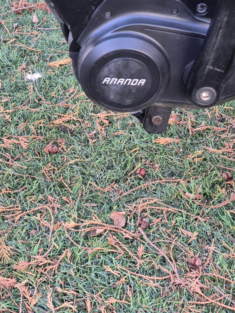 Puch Electrische damsfiets, Fietsen en Brommers, Brommeronderdelen | Algemeen, Ophalen