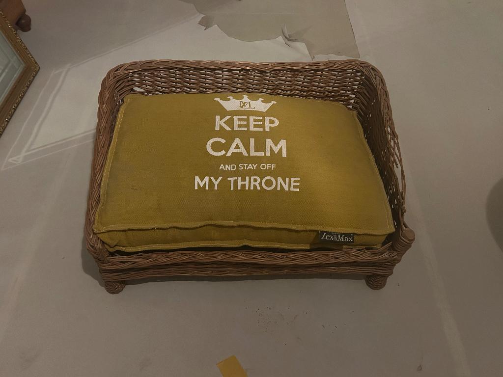 Lit pour chien avec oreiller, Animaux & Accessoires, Paniers pour chiens, Enlèvement, Utilisé, Roseau