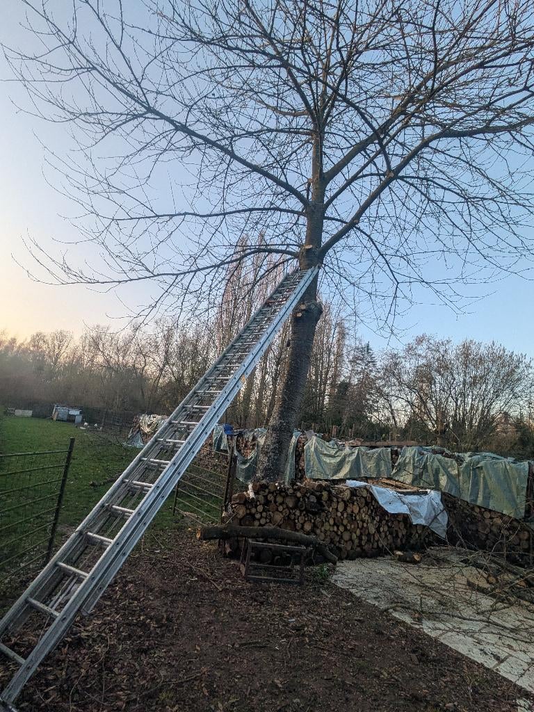 Échelle triple Altrex professionnelle – hauteur 16 m, Bricolage & Construction, Échelles & Escaliers, Pliable ou rétractable/escamotable