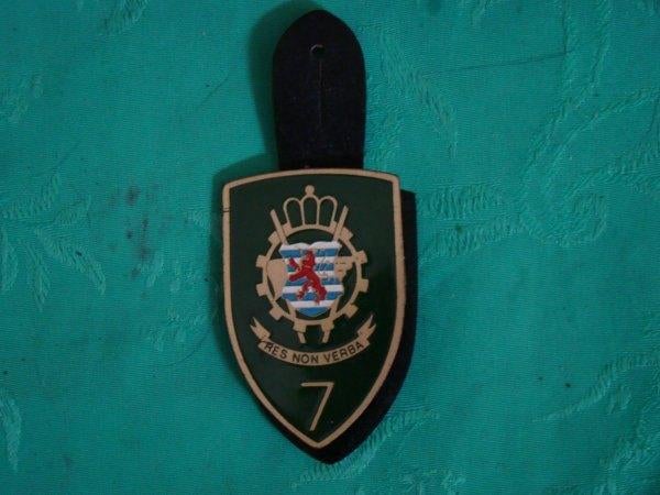 MILITARIA, Enlèvement ou Envoi, Armée de terre, Emblème ou Badge