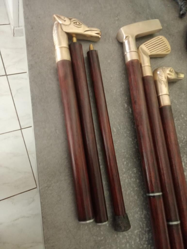 Canne de voyageur, Divers, Bâtons de marche