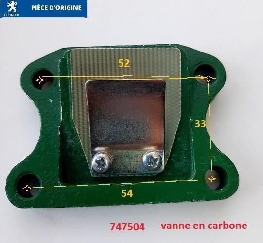 Valve en carbone Peugeot Reed Valve, Vélos & Vélomoteurs, Pièces de cyclomoteur | Général, Neuf, Envoi