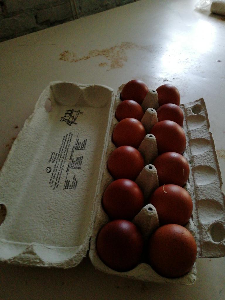 Zeer donkere eieren van Marans te koop aangeboden, Dieren en Toebehoren, Pluimvee