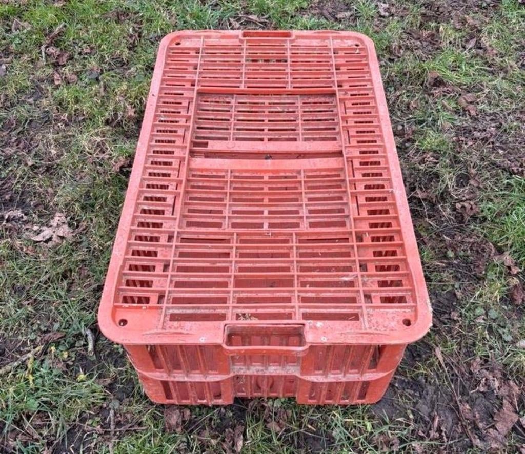 Particulier loue cage de transport pour Volailles, Animaux & Accessoires, Volatiles | Accessoires, Comme neuf, Enlèvement