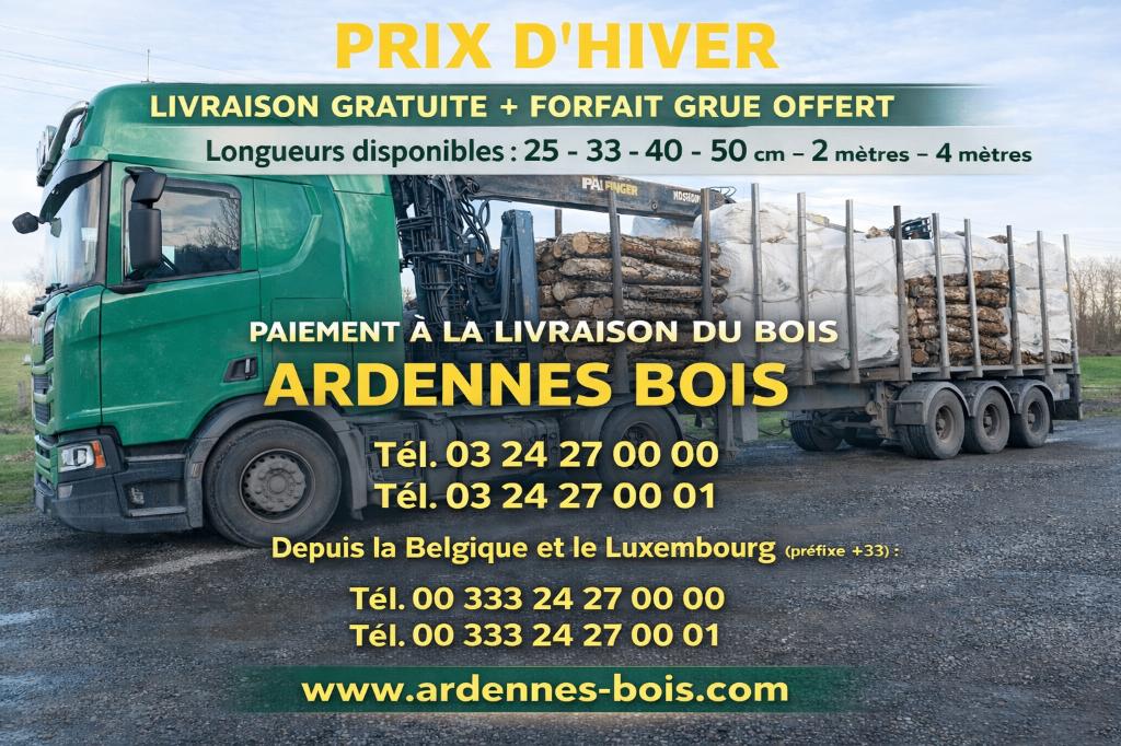 Brandhout van 33 cm lang - Andere lengtes, Tuin en Terras, Verzenden, Beukenhout