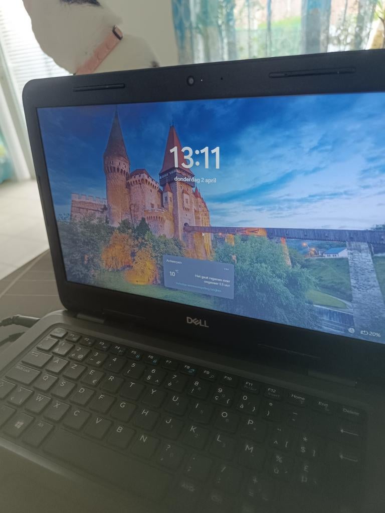 Dell latitude 3310, Enlèvement ou Envoi, Intel® Core™ i5, 256 GB, Dell