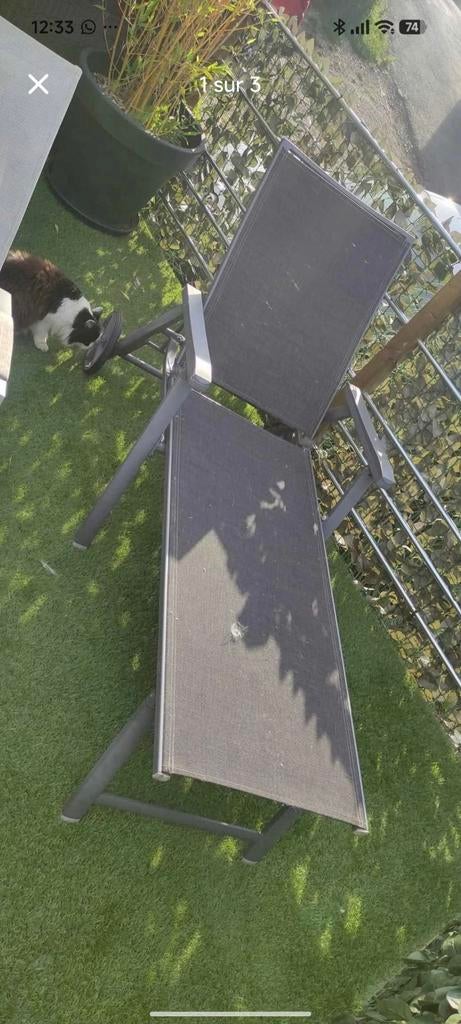 Transat sur roulette, Tuin en Terras