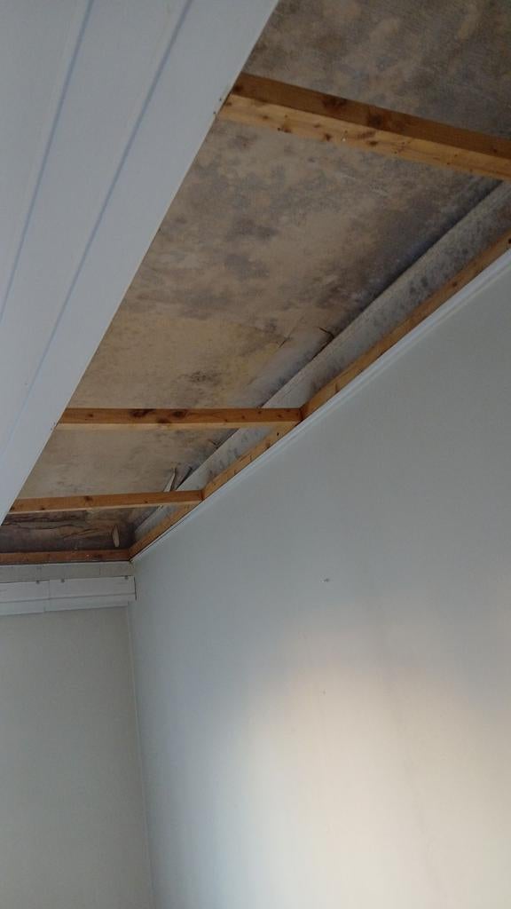 Gratis plastic plafond, Doe-het-zelf en Bouw, Ophalen