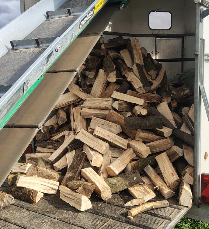 Droog brandhout beuk, Ophalen of Verzenden, Beukenhout