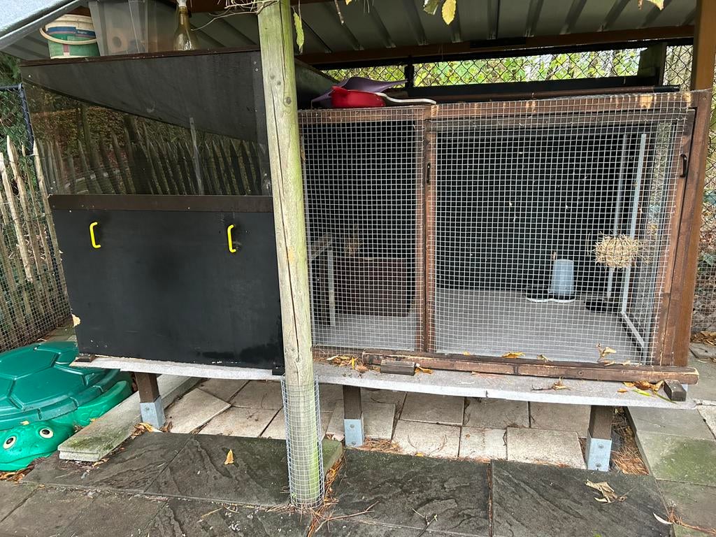 Konijnenpaleis, 90 cm ou plus, Niche, Cobaye, Enlèvement