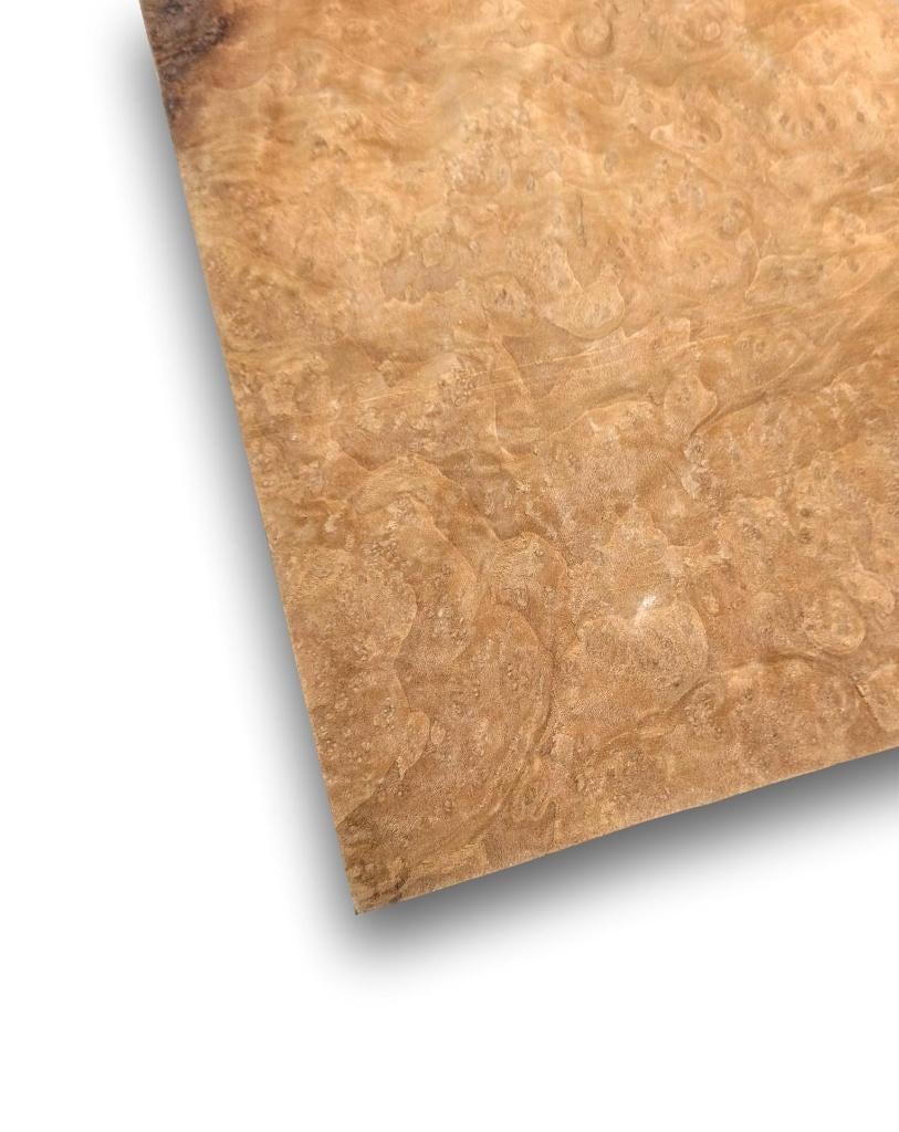 Laurel wortel fineer | 26x25 cm, Verzenden, Nieuw