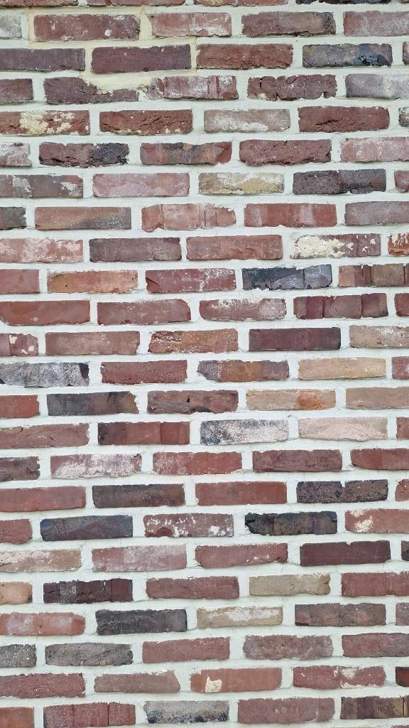 Metselstenen Waalformaat , Paepesteen 24x11x5cm, Ophalen, Gebruikt, Bakstenen