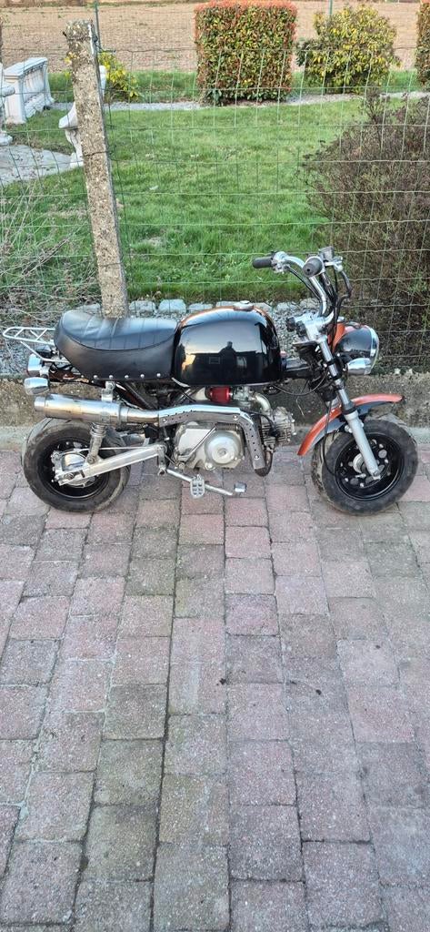 Jingcheng monkey ( gorilla), Ophalen