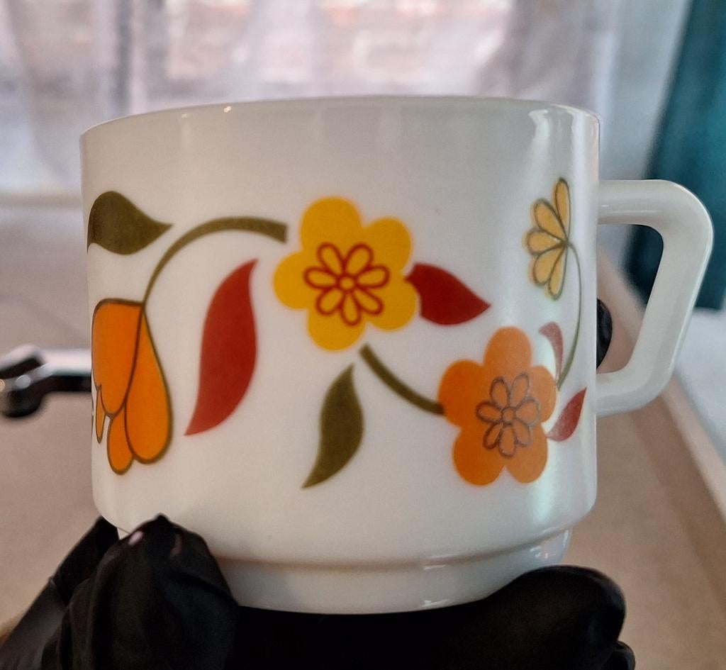 Je recherchais un arcopal avec ce motif, Enlèvement