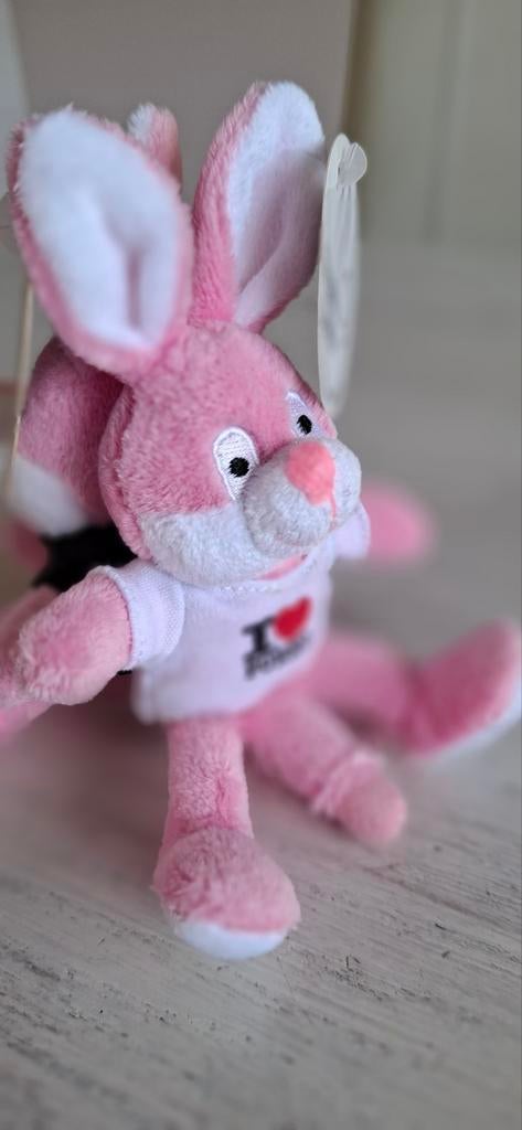 2x Naughty Bunny magneten: grappig & nieuw met label, Enlèvement ou Envoi, Neuf