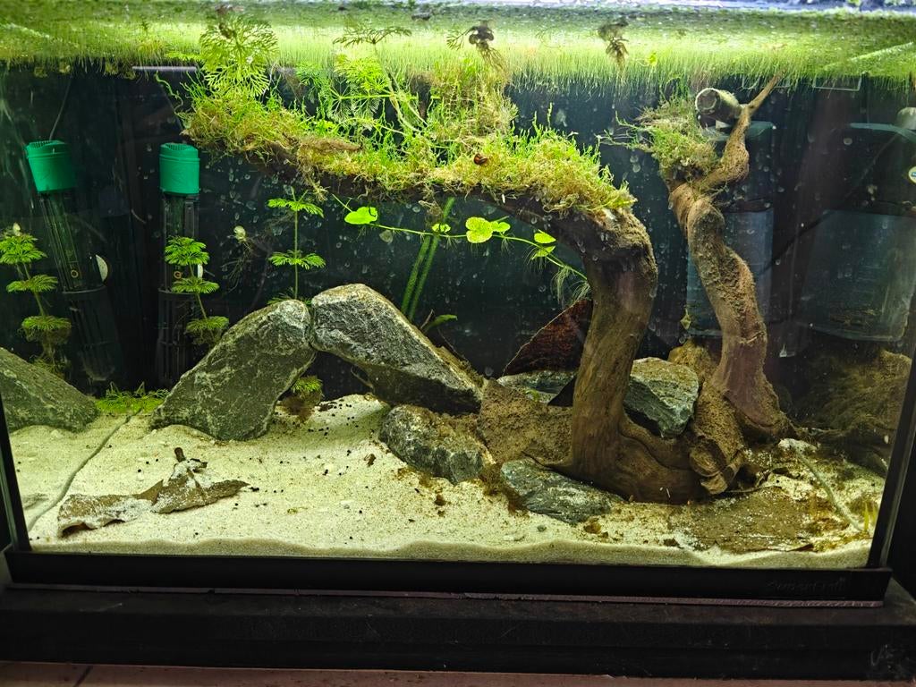 Superfish tropical kit 70, Dieren en Toebehoren