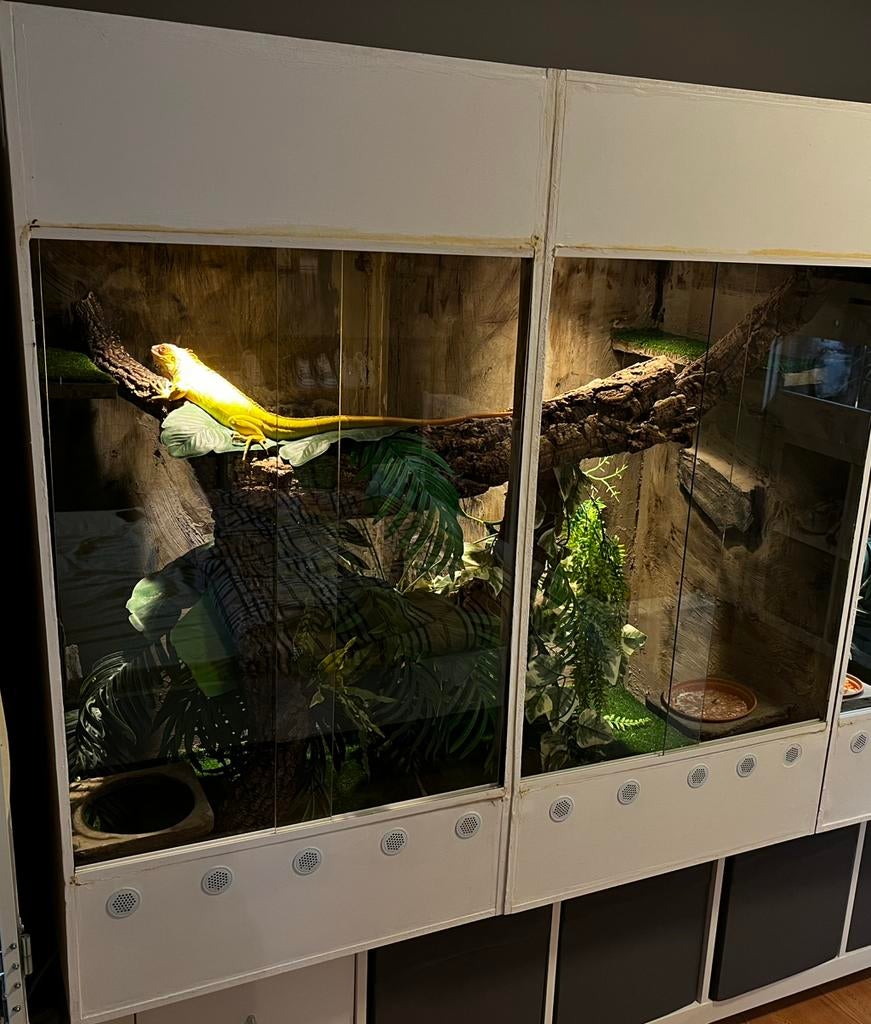 Groot terrarium (130 H x 120 L x 60 D), Ophalen, Zo goed als nieuw