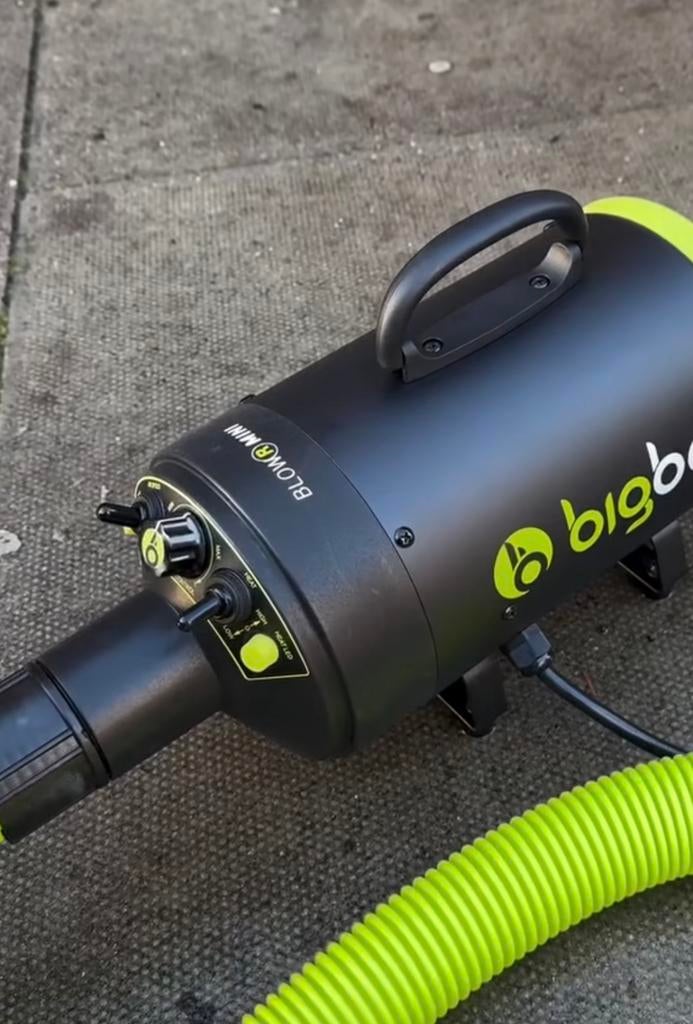 Big boi mini auto blazer, Enlèvement, Aspirateur